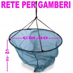 Nassa Gamberiera | Retino...