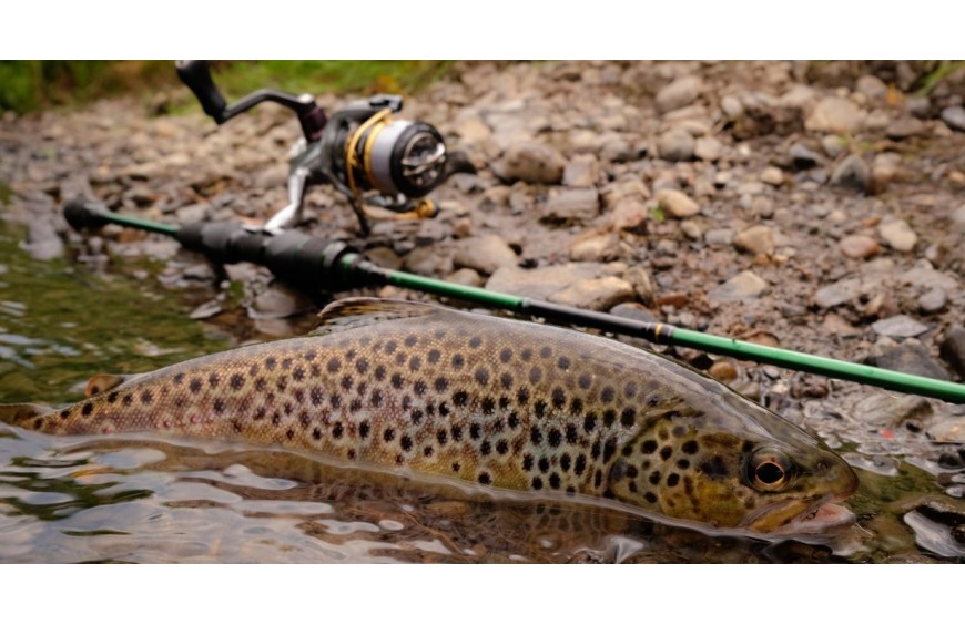 Pesca alla trota a tremarella: come scegliere l'attrezzatura giusta